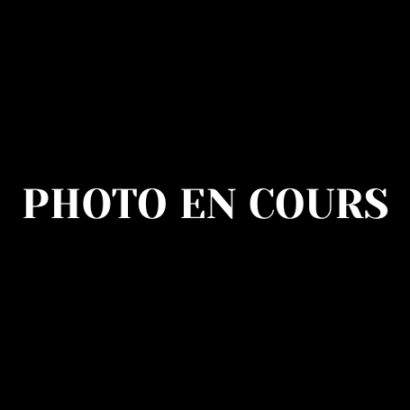 Volaille au citron et aux olives vertes